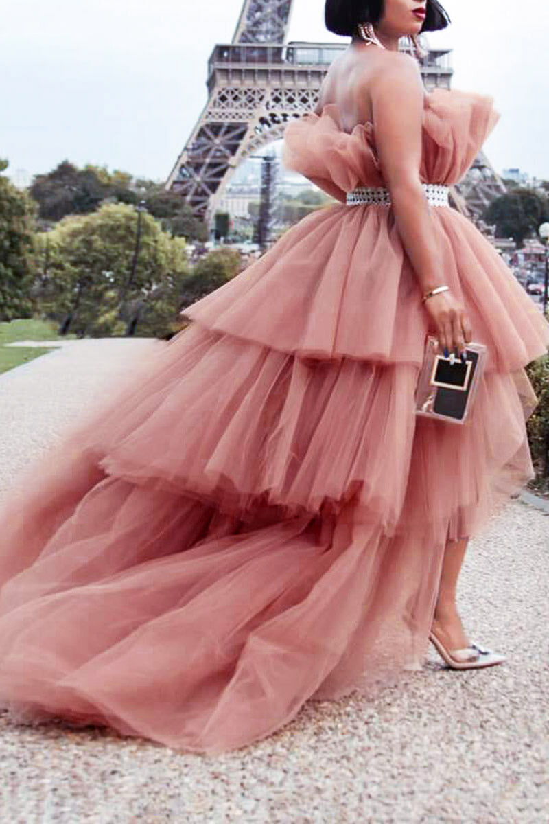 Plus Size Dress Pink Elegant See-through The Gala Maxi Dress(With Belt)