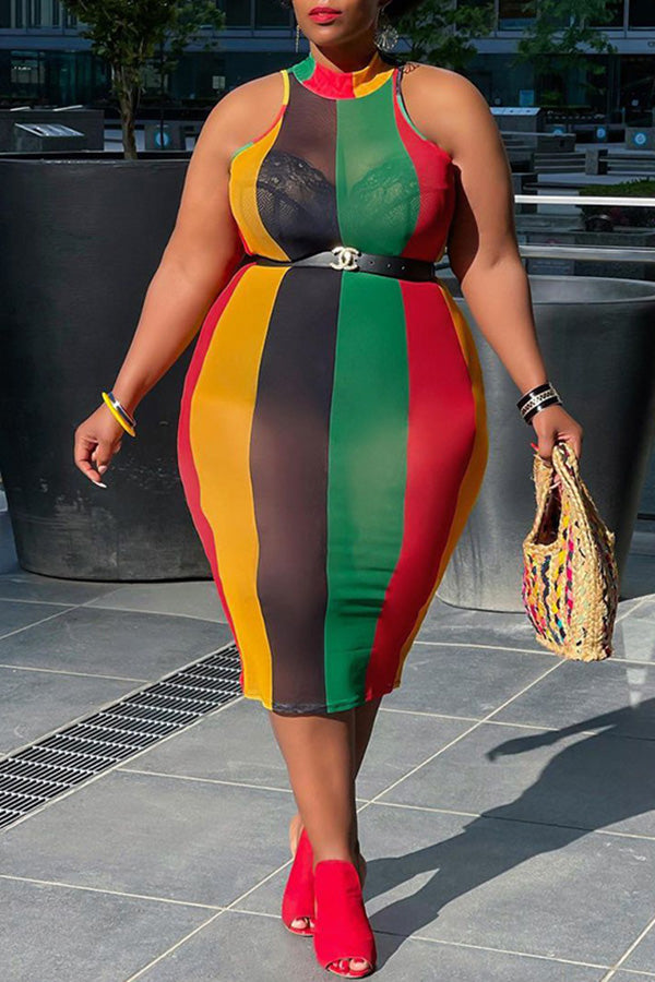 Plus Size Mesh Rainbow Vertical Print Sleeveless Midi Dress