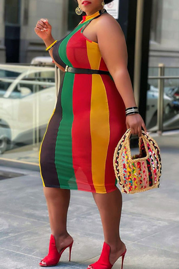 Plus Size Mesh Rainbow Vertical Print Sleeveless Midi Dress