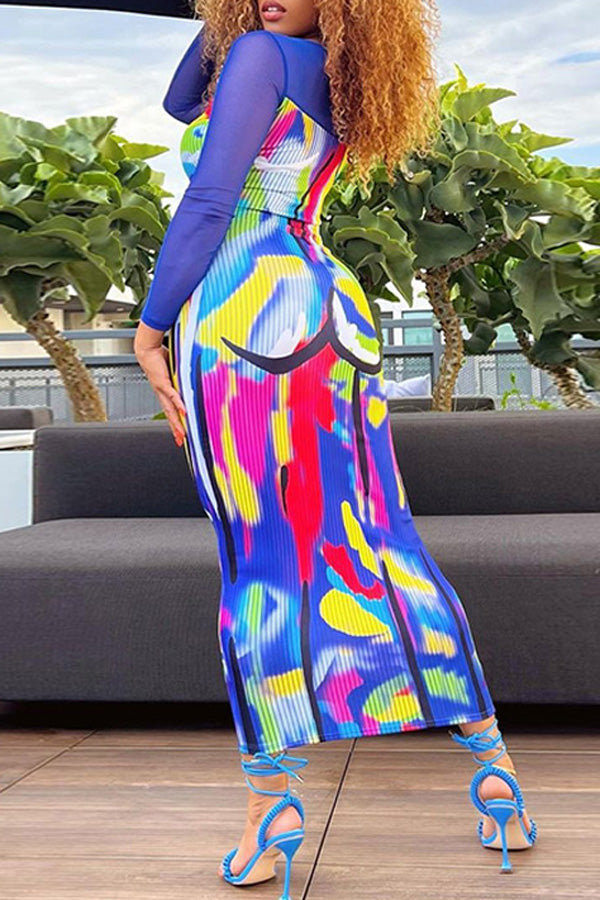 Fashion Printed Mesh Panel Slim Fit Long Sleeve Dress